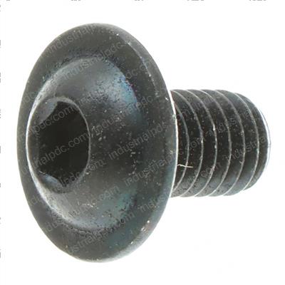 Picture of Hex Socket Oval Head Cap Screw