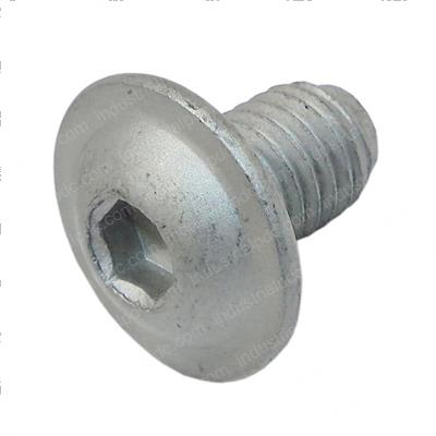 Picture of Screw