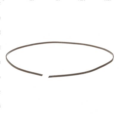 Picture of Ring - Piston Guide