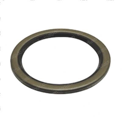 Picture of Seal - Oil