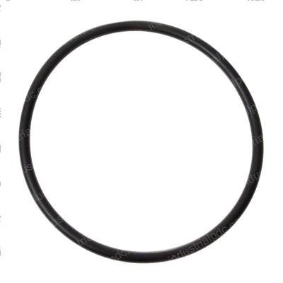 Picture of O-Ring