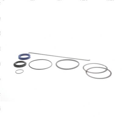 Picture of Seal Kit