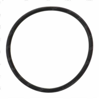 Picture of O-Ring