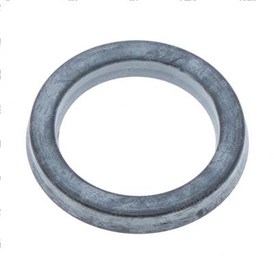 Picture of Seal