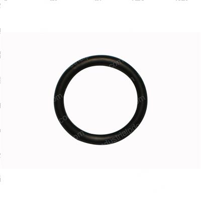 Picture of O-Ring