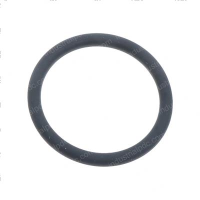 Picture of O Ring (22 X 2.4)