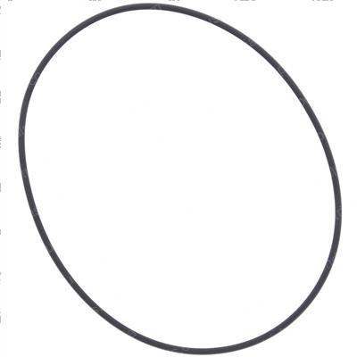 Picture of O-Ring