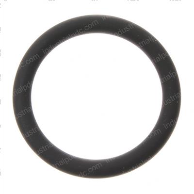 Picture of O-Ring