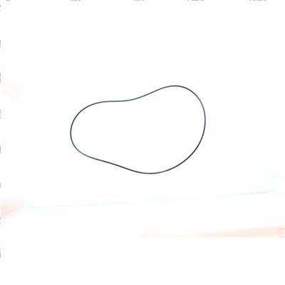 Picture of O-Ring
