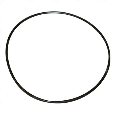 Picture of O-Ring
