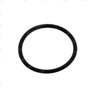 Picture of O-Ring