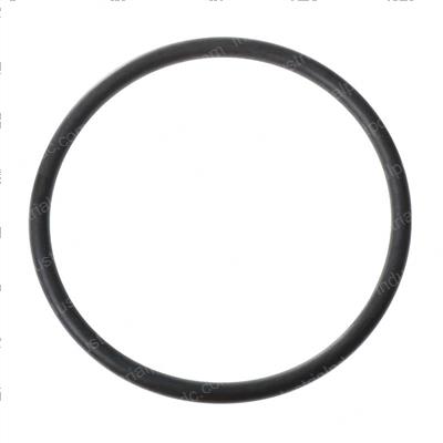 Picture of O-Ring