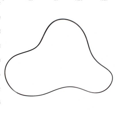 Picture of O-Ring