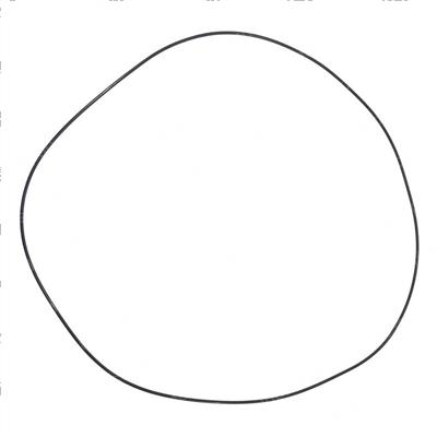 Picture of O-Ring