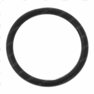 Picture of O-Ring