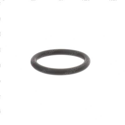Picture of O-Ring