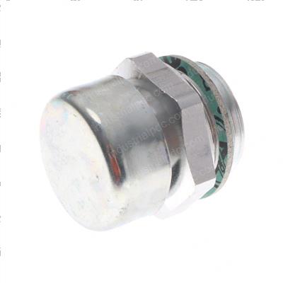 Picture of Oil Plug