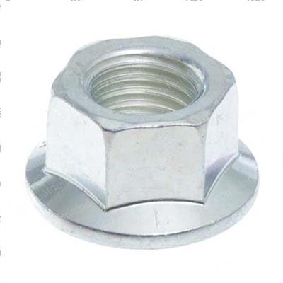 Picture of Nut