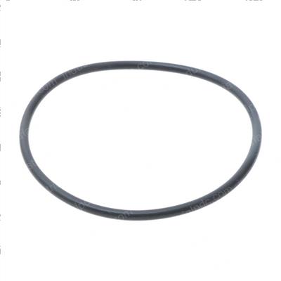 Picture of O-Ring