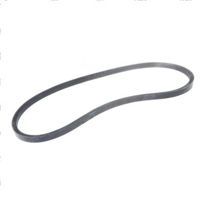 Picture of Belt - Raw Edg