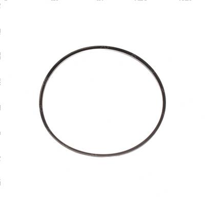 Picture of Belt - Raw Edge