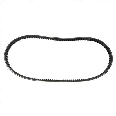Picture of Belt