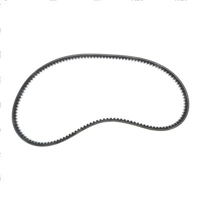 Picture of Belt