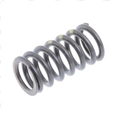Picture of Valve Spring