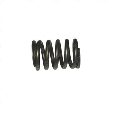 Picture of Spring - Valve