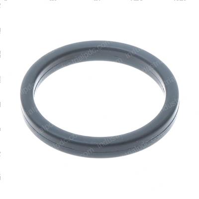 Picture of O-Ring