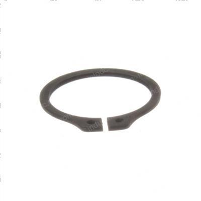 Picture of Ring Retaining