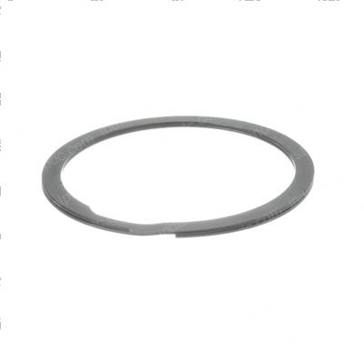 Picture of Ring Retaining