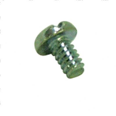 Picture of Screw #4