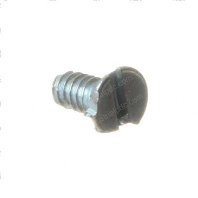 Picture of Screw #4