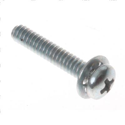 Picture of Screw #4