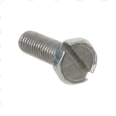 Picture of Screw #10