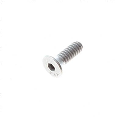 Picture of Screw #10