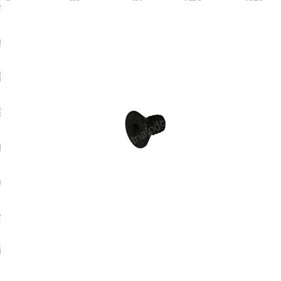 Picture of Screw.250