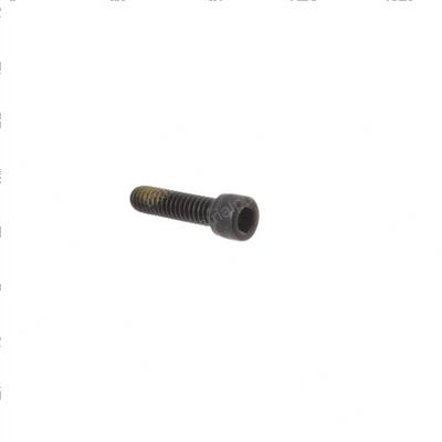 Picture of Screw  .250