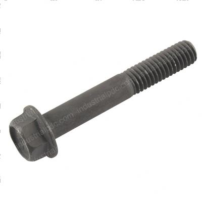 Picture of Bolt-Flange Hex