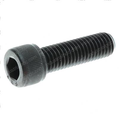 Picture of Bolt