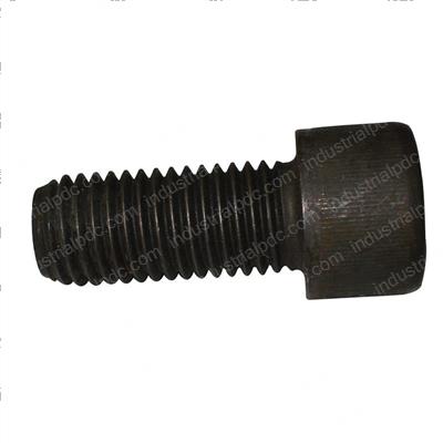 Picture of Bolt