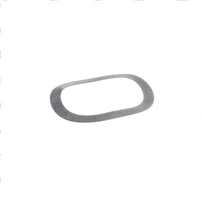 Picture of Washer Spring