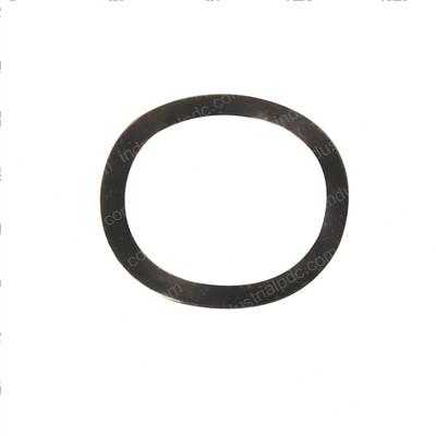 Picture of Washer - Spring