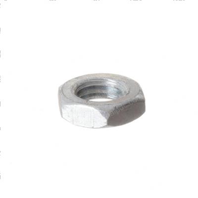 Picture of Nut Half