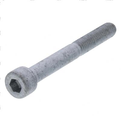 Picture of Bolt