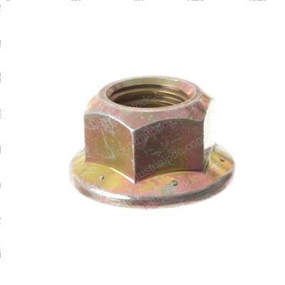 Picture of Hex Flange Nut