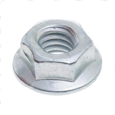 Picture of Hex Flange Nut