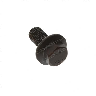 Picture of Screw M12