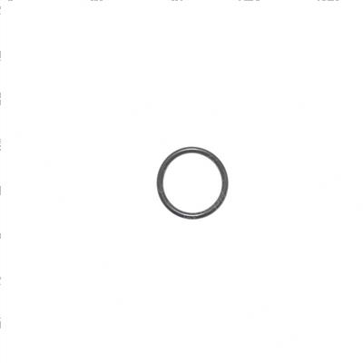 Picture of O-Ring